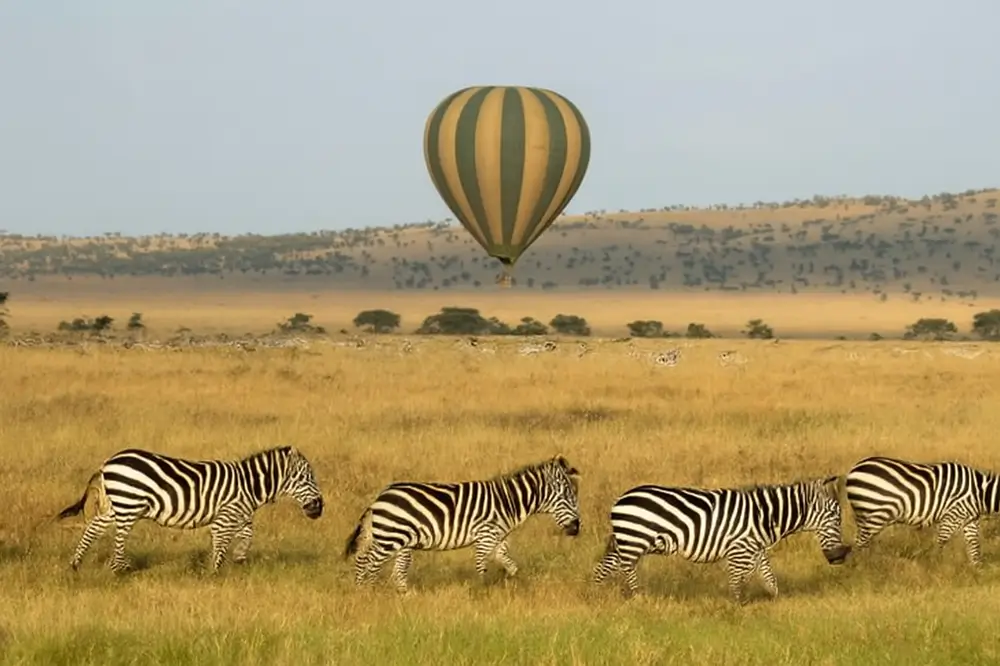 3 Days Serengeti Flying Safari