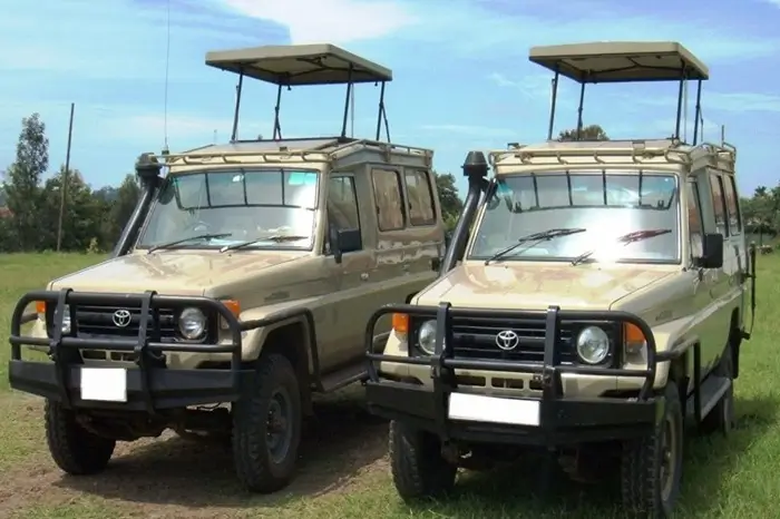 safari car 2