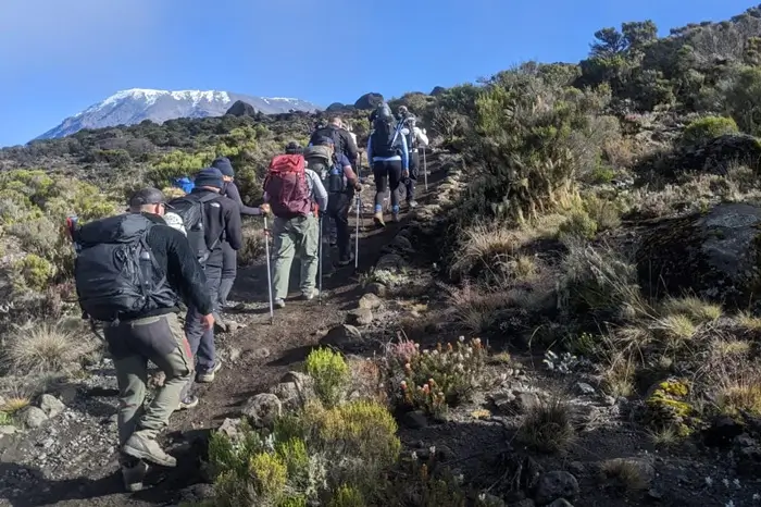 5 Days Marangu Route